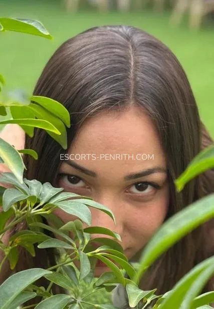 Escorts Penrith Kristina — 1